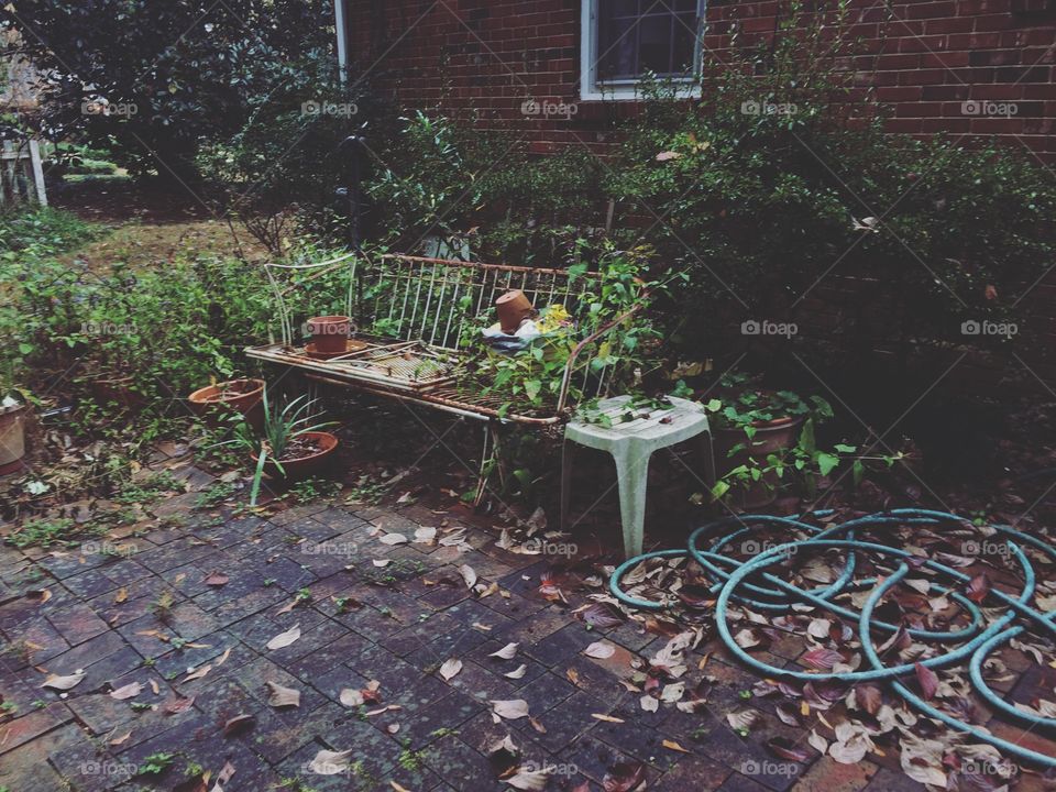 I love how old things look new in photos. This little bench full of rust is actually so beautiful surrounded by flowers. Though to some it may look like trash to me it was a photo waiting to be snapped. 