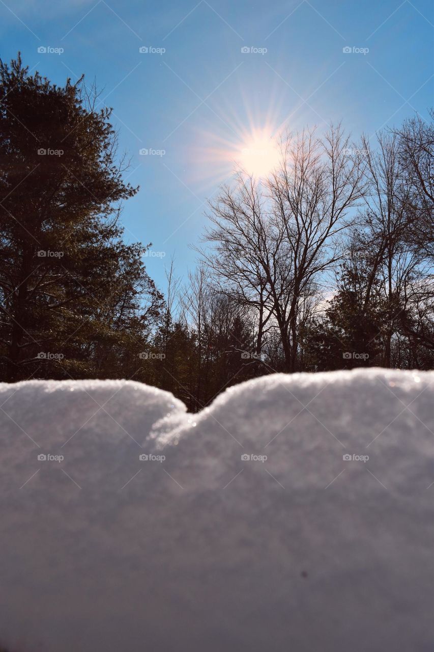 Sunny day after the snow