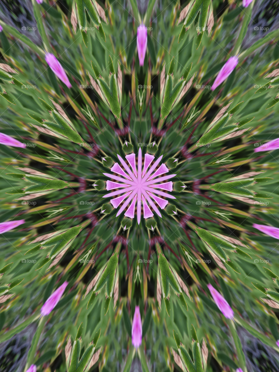 Green leaves pink flower abstract