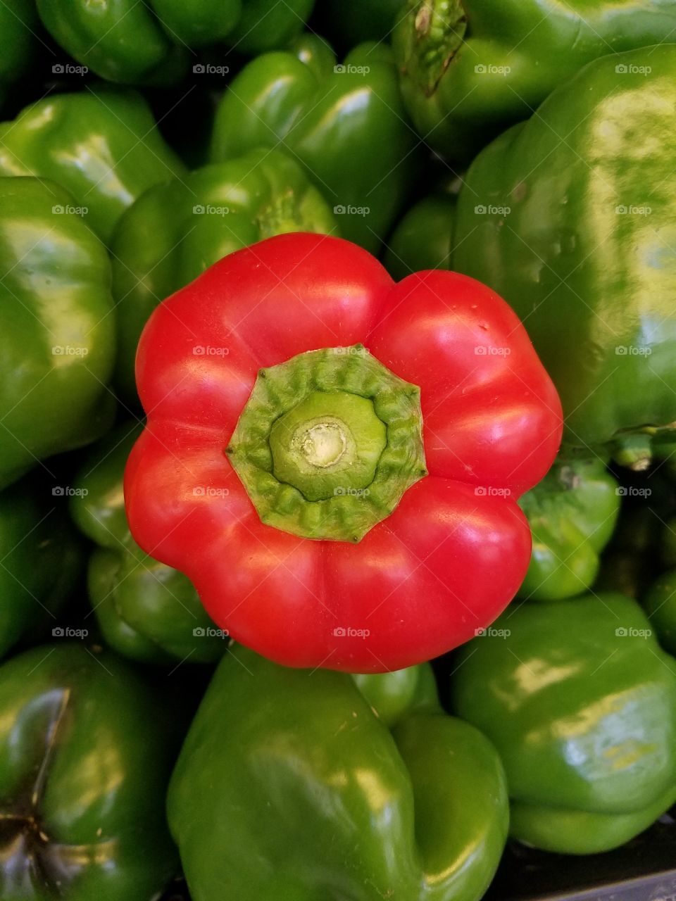 Contrast in Peppers