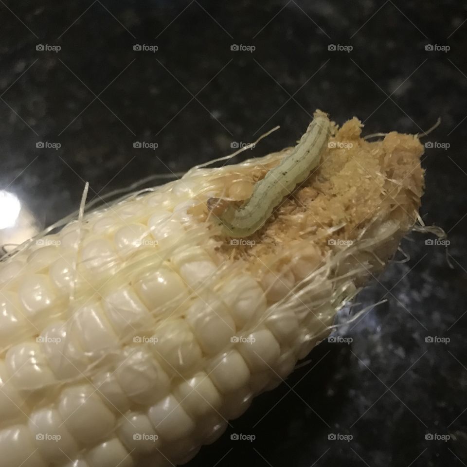 Corn surprise