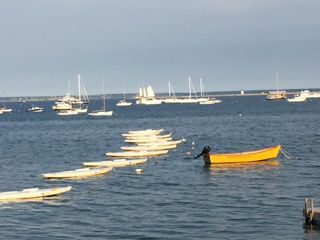 P town boats 2017
