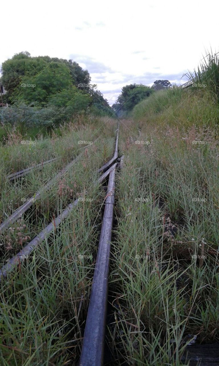 Trilhos dos trens de ferro.