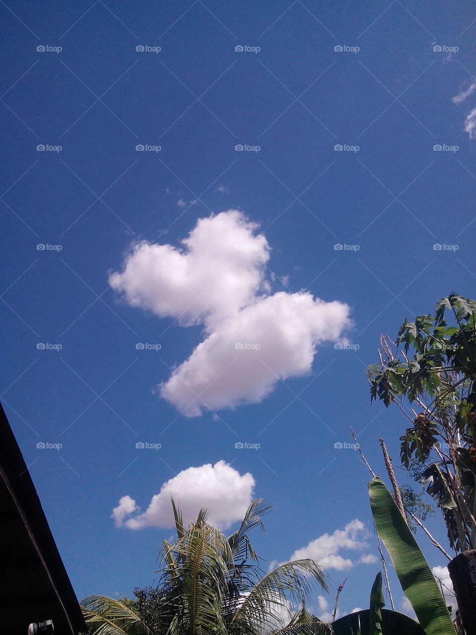 clouds shape of heart