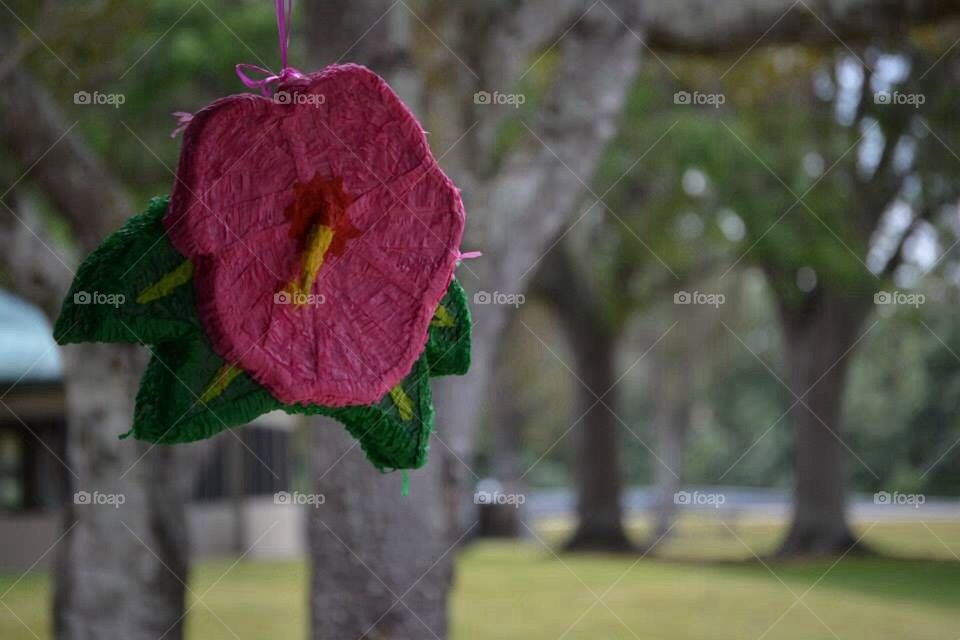 Piñata in the park