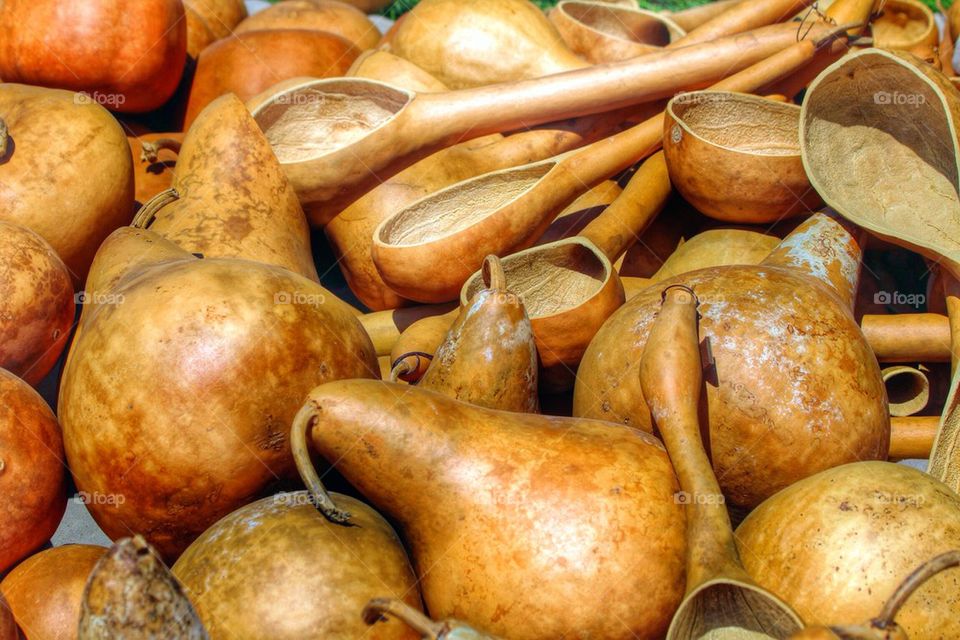 Gourds 