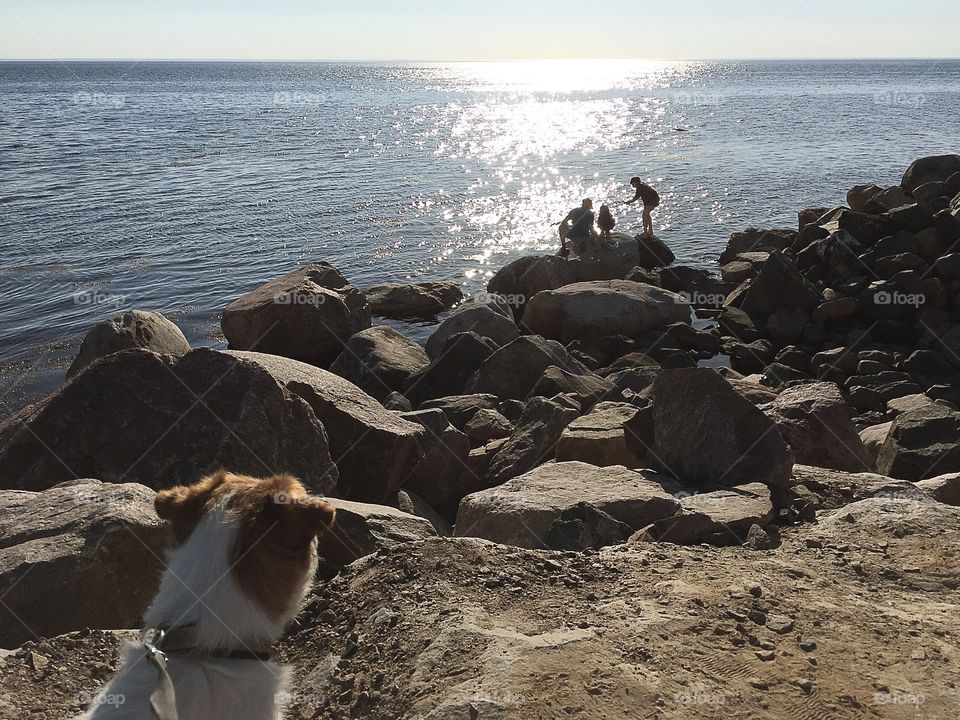 Seashore, Water, Sea, Ocean, No Person