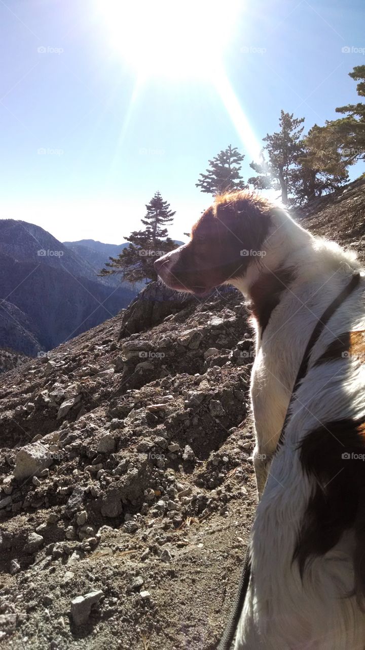 forgot my sunglasses