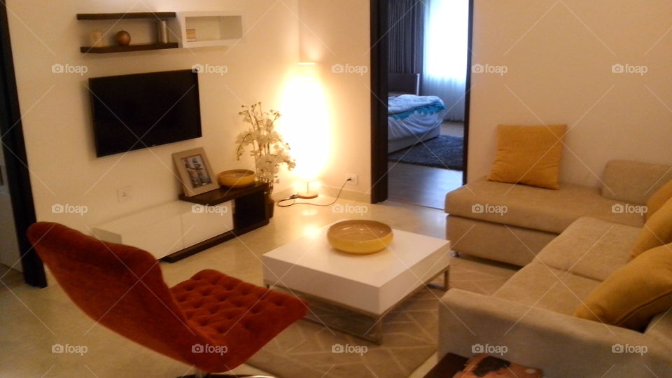 Furniture, Room, Sofa, Indoors, Seat