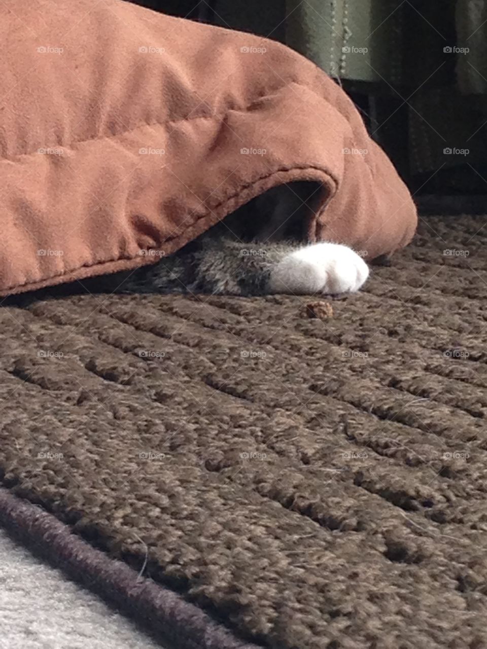 "I can't see you, you can't see me!"
