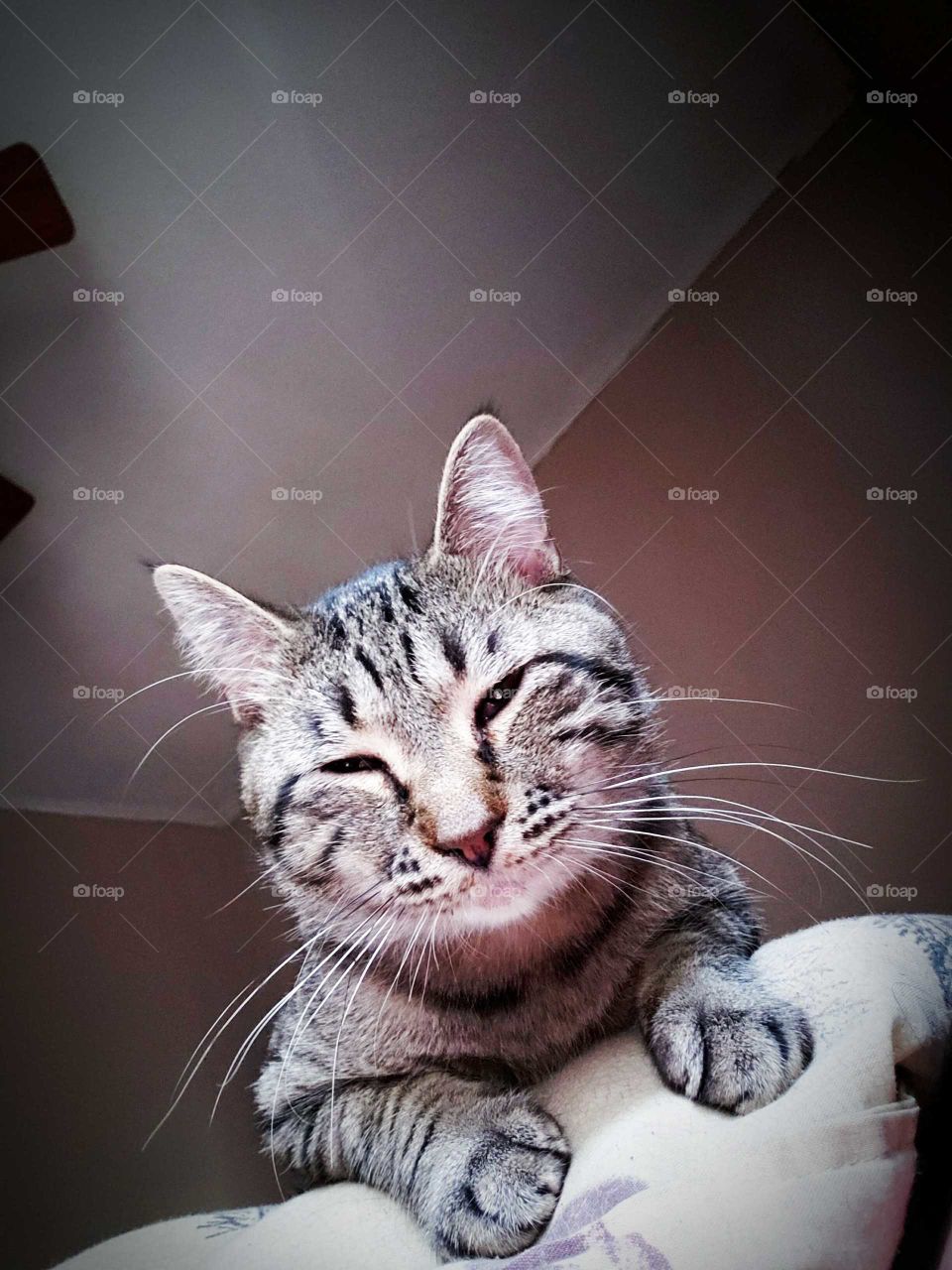 you know you love me