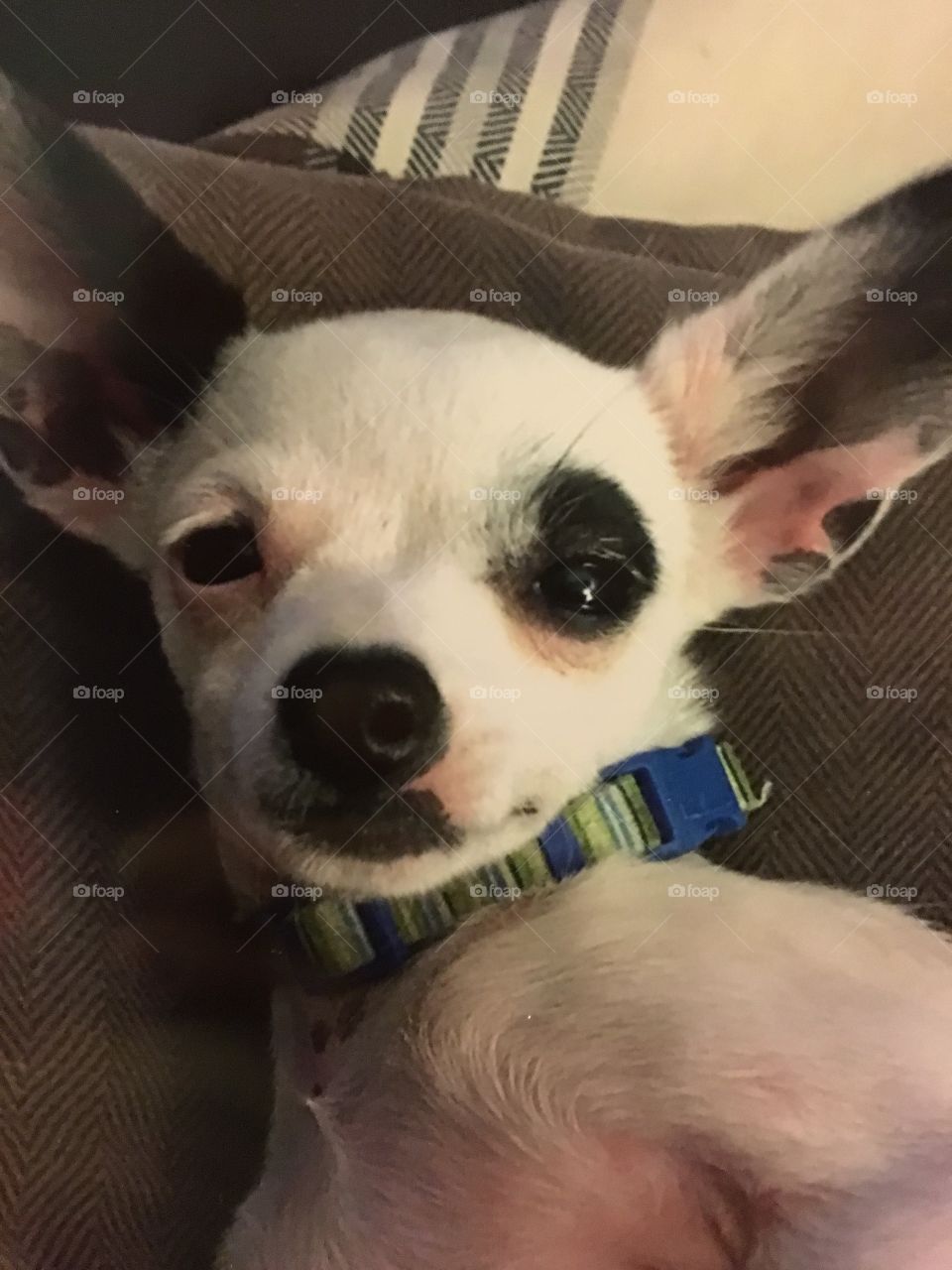 Why you bothering me?