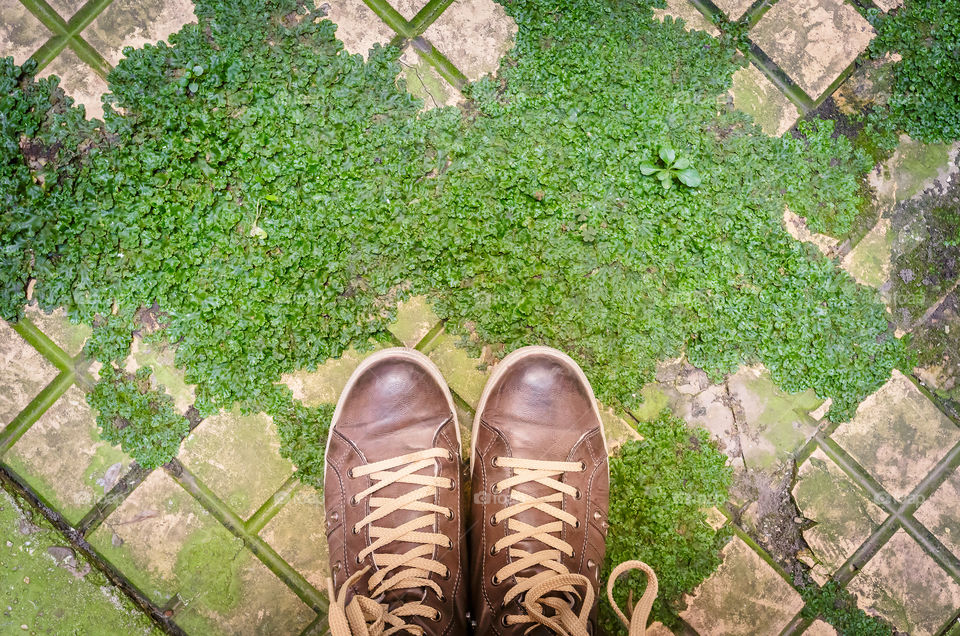 Top view of shoes on old pavement and green grass 