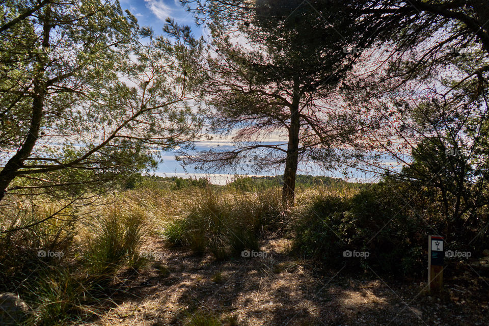 Parque Natural del Garraf