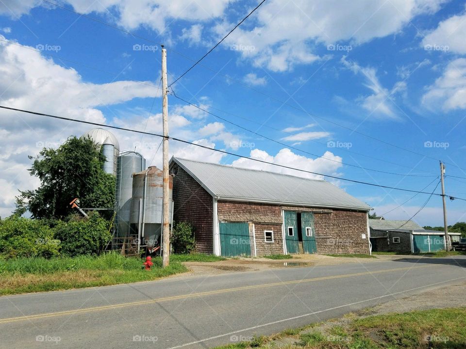 Silos & old shingled barn near road. Overgrown silos on road edge. Blue sky.