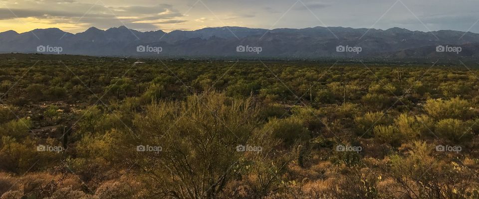 Panorama Nature Landscape 