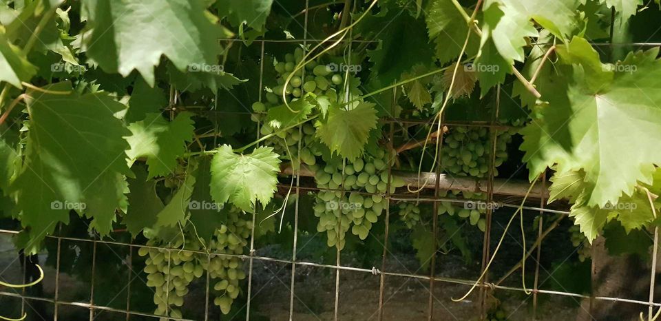 Travelling colours✈🌞