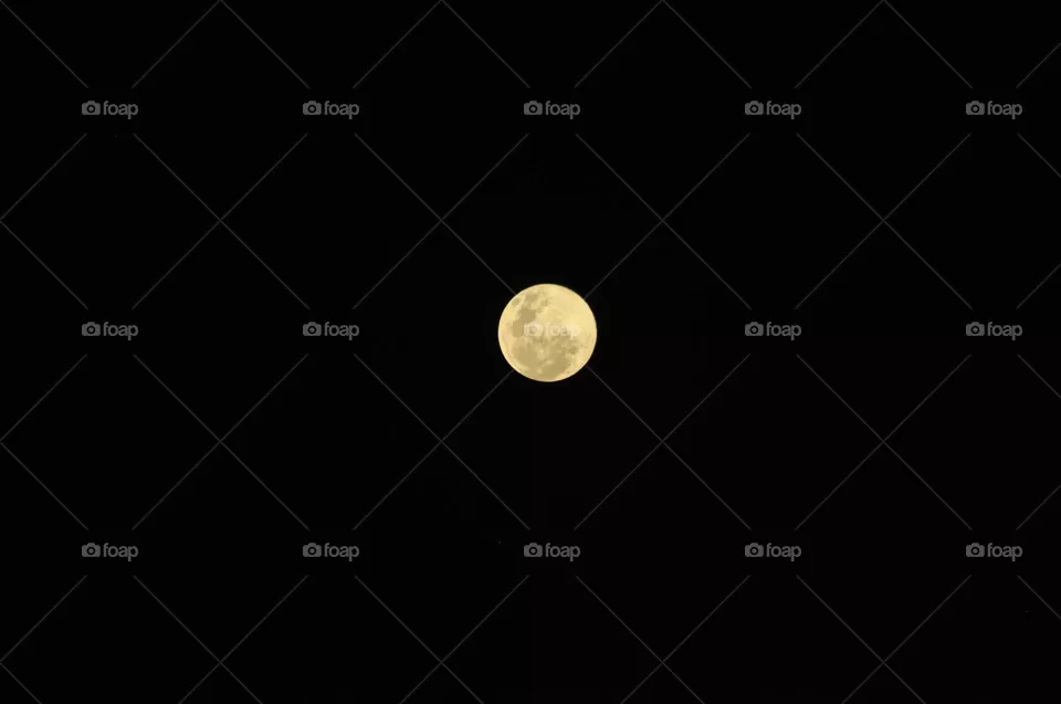 Moon lovers