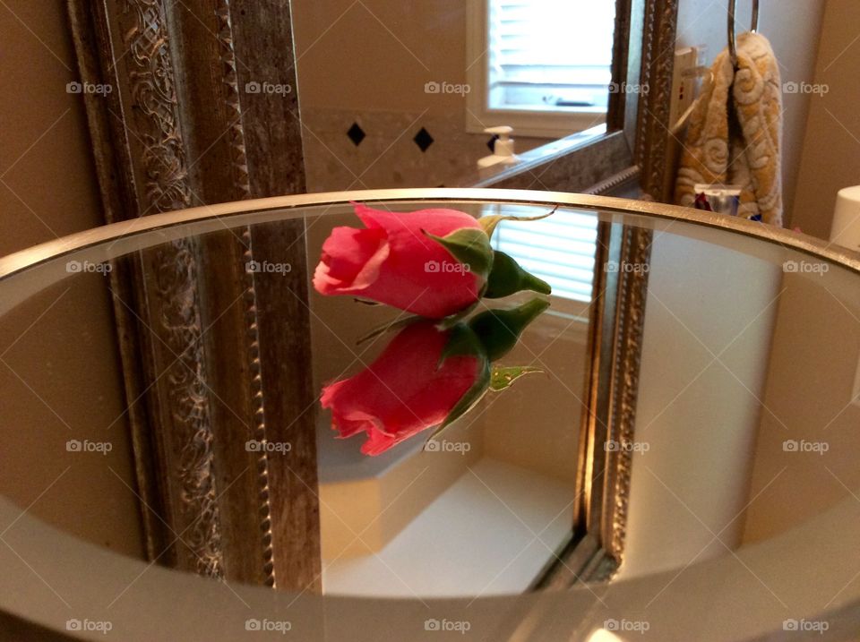Rose bud reflection