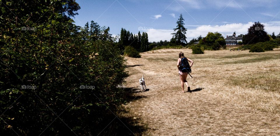 Walking dog in a field