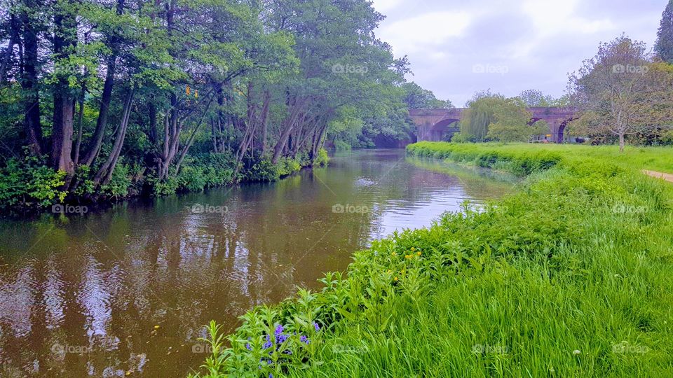 nature river