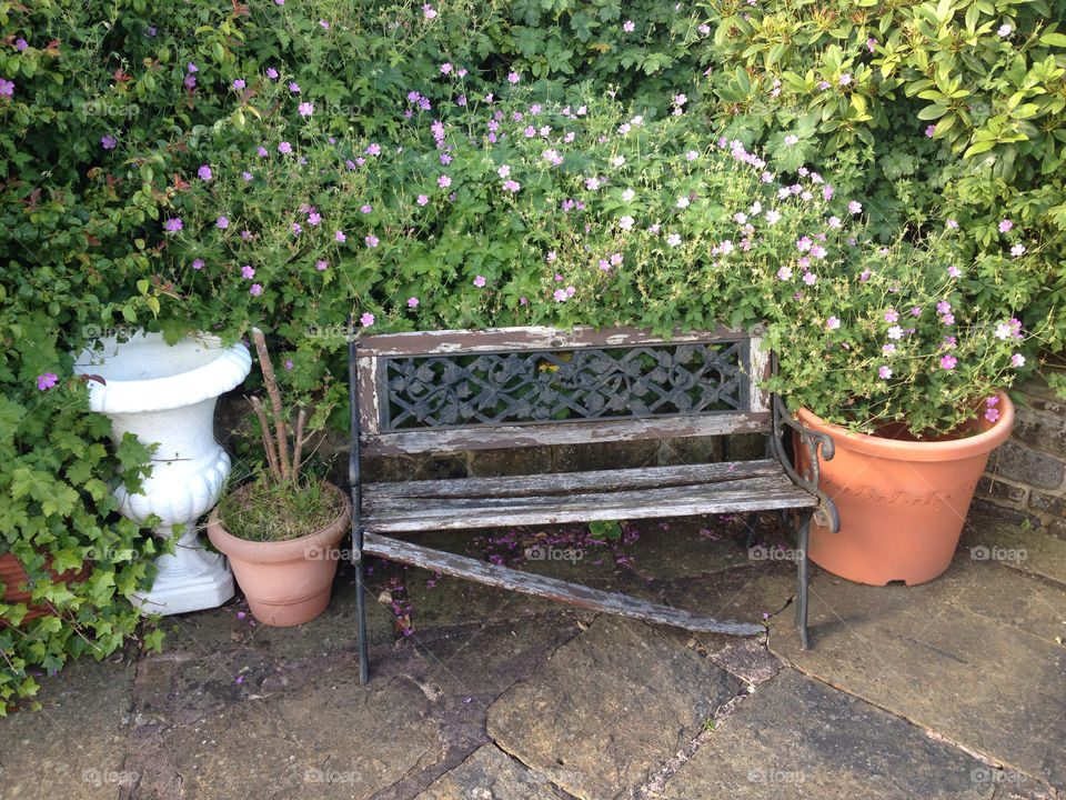 garden united kingdom bench dilapidated by freetommy