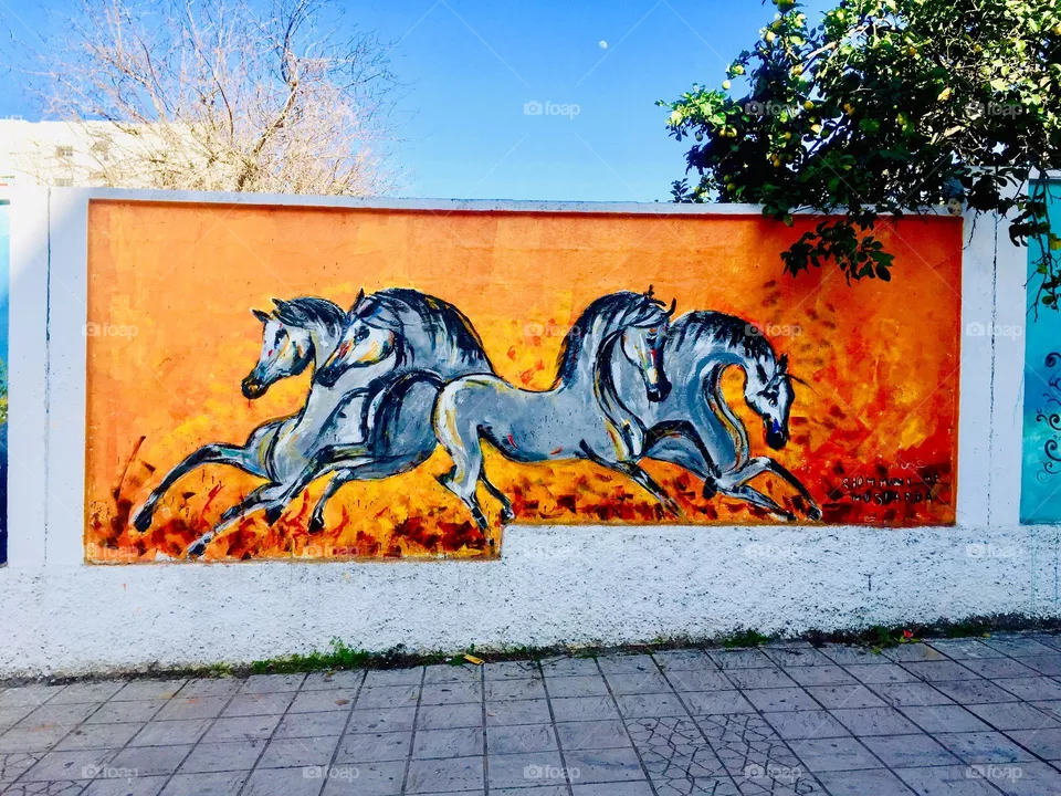 Arabic Horses 