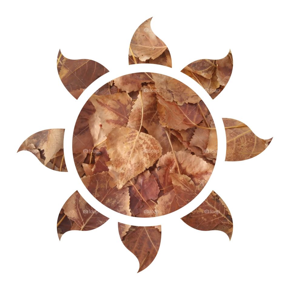 No Person, Disjunct, Food, Traditional, Dry