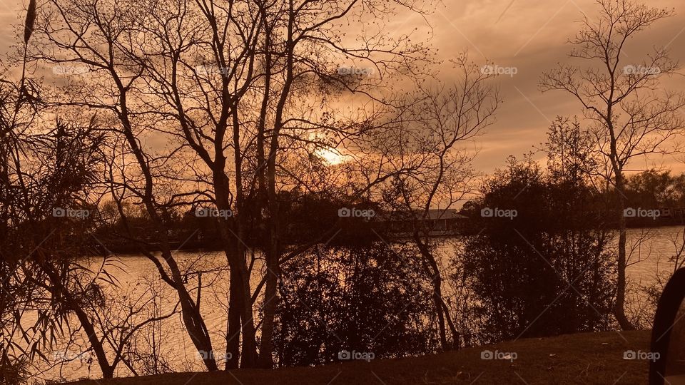 More Foliage showing Decline with Less Sun each Day and More wet damp weather. 