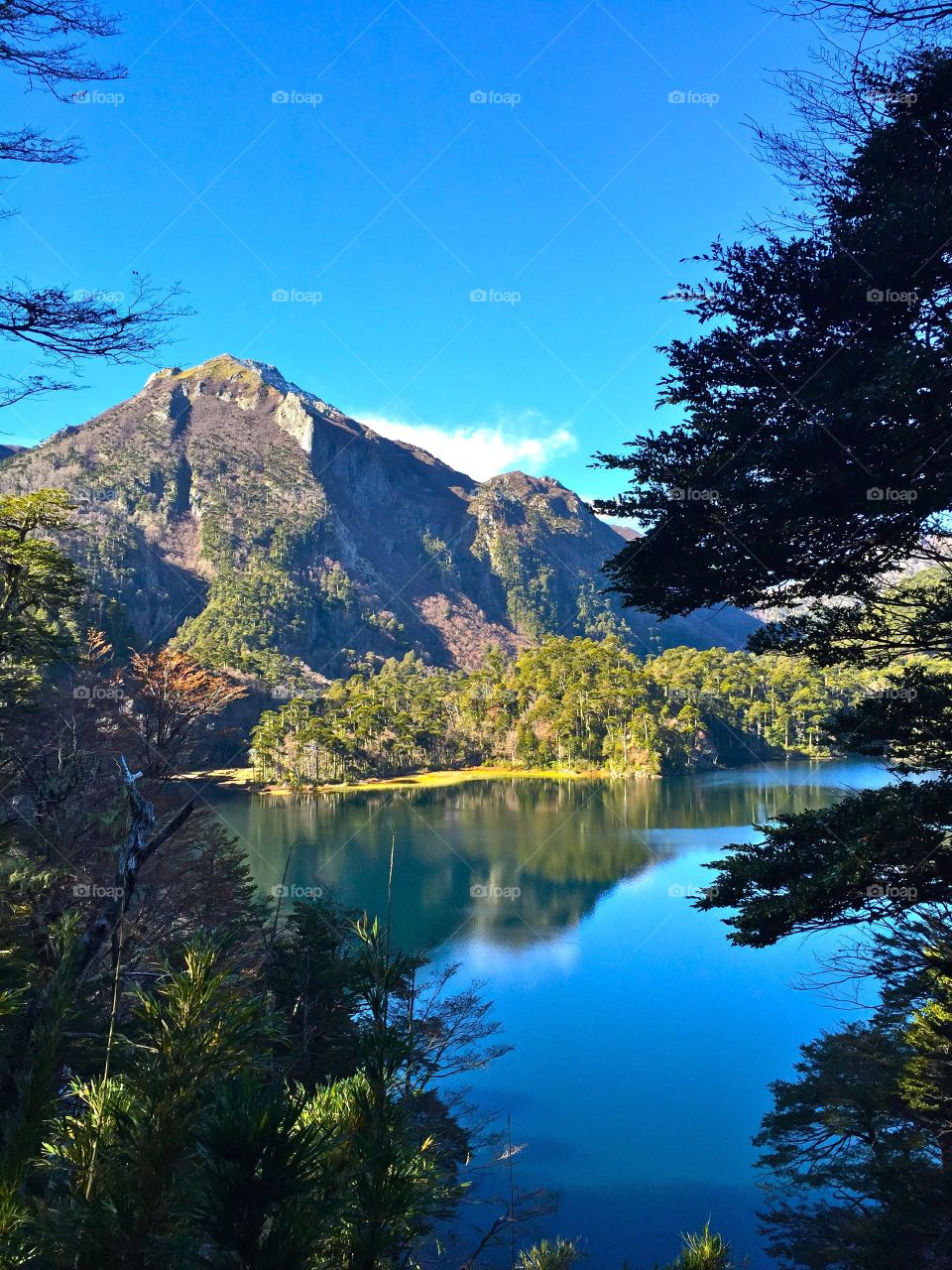 Hiking in southern Chile 