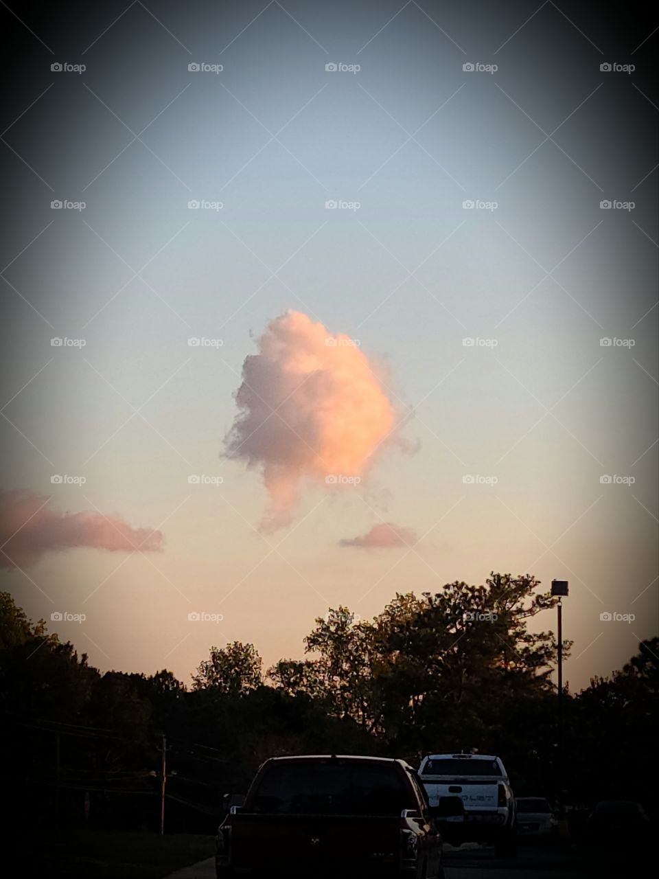 Cotton Candy Cloud
