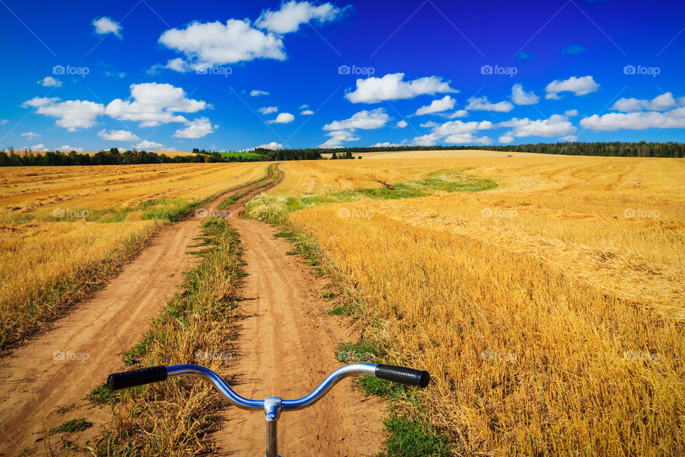 Summer field. On the bycicle