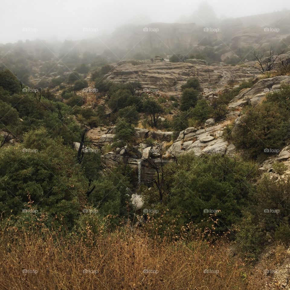 Nature Mountain Landscape - Fog
