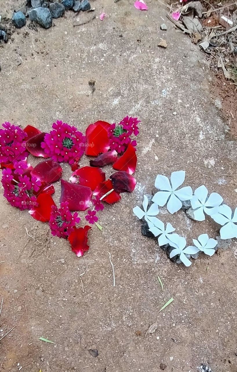 explosion of colors heart