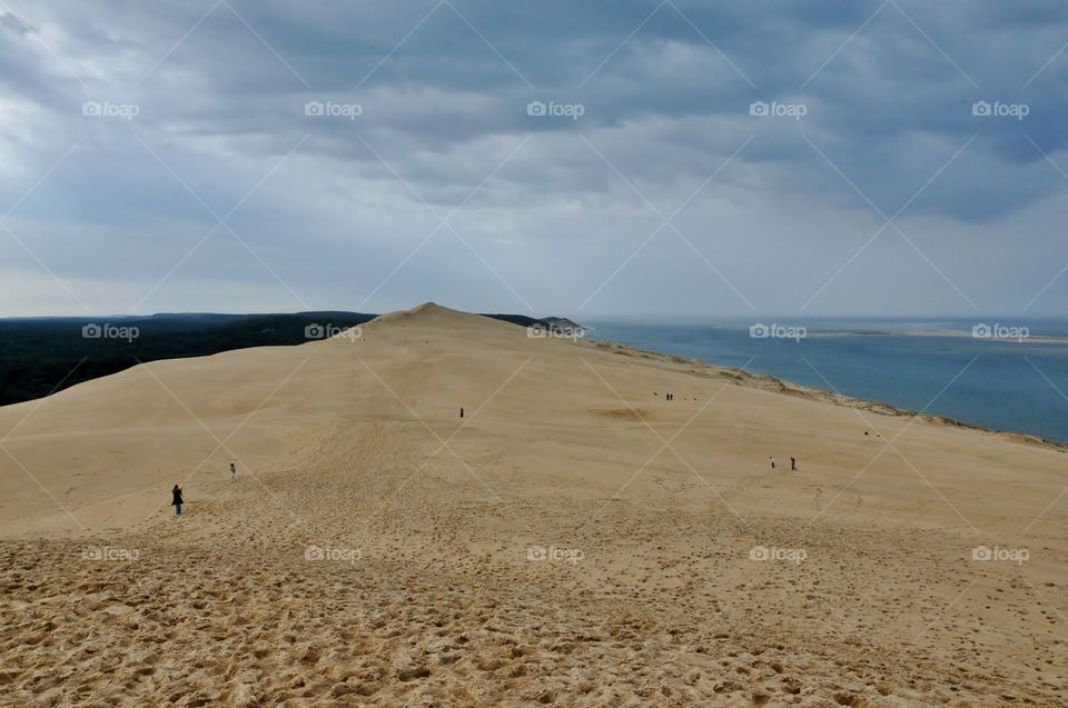  View over the sand dunes 