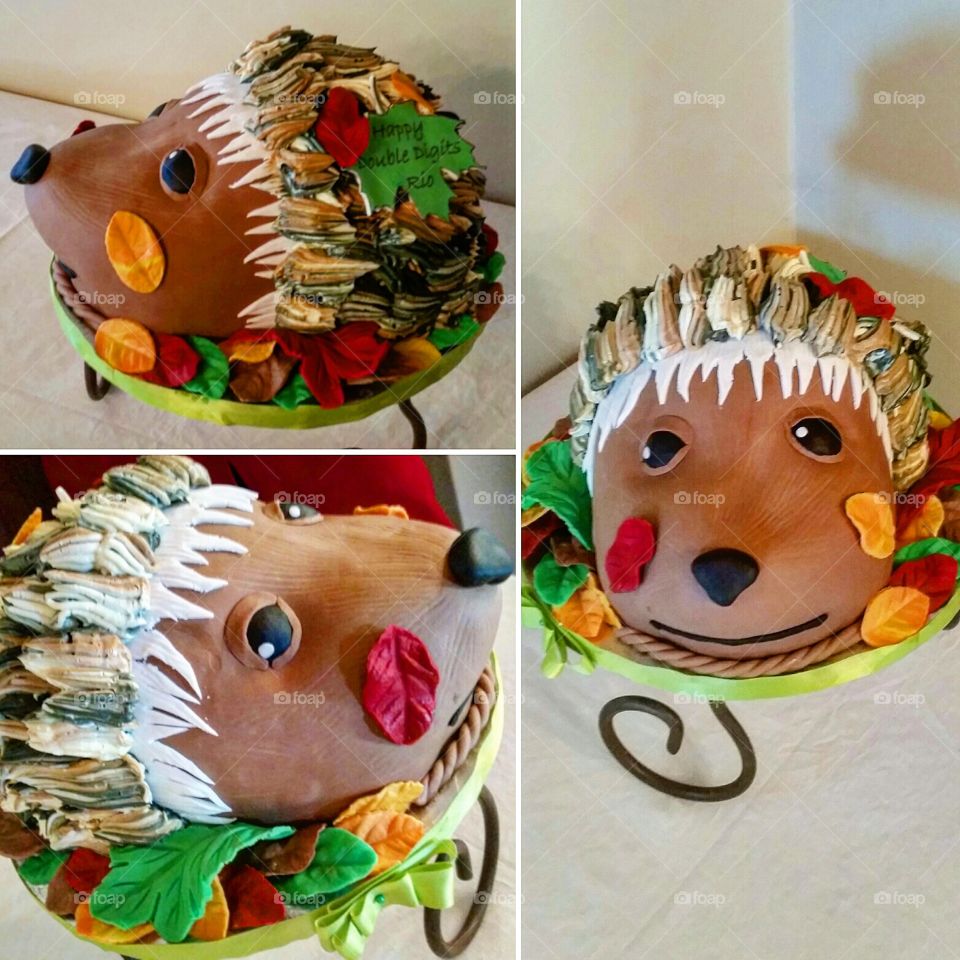 hedgehog 3D cake I made. follow me on instagram, twitter and facebook. Bom Bom Sweet Treats.
