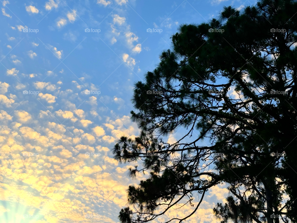 Golden sun rays on puffy clouds.