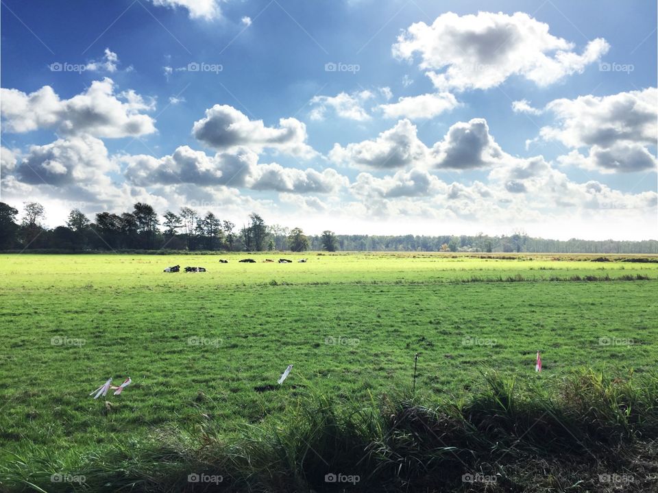 Cloudy Day / Blue Sky