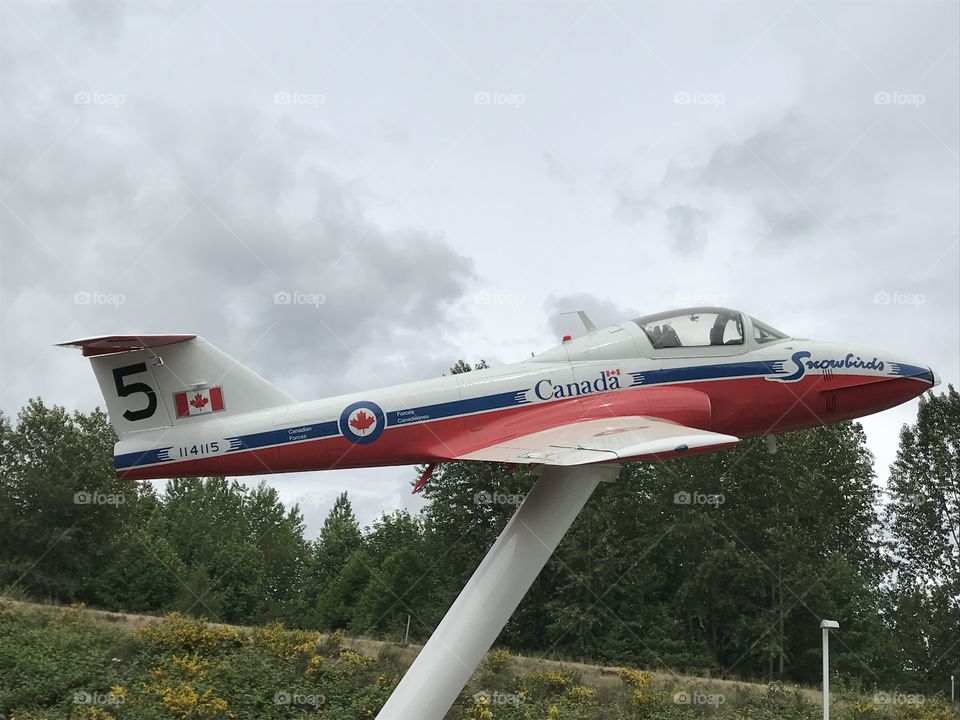 We have one of Canada’s national treasures on a pedestal outside the Comox Valley tourist center It is the Canadian snowbird number five. The snowbirds are an aerial acrobatics team that is part of Royal Canadian Air Force