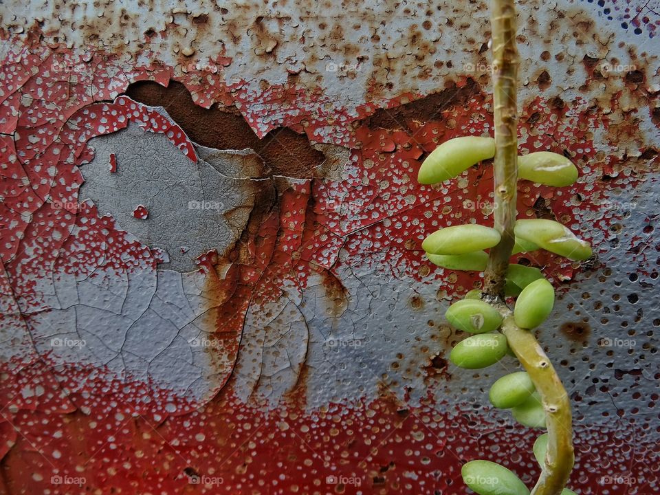 Rust. Rusty Metal With Peeling Paint
