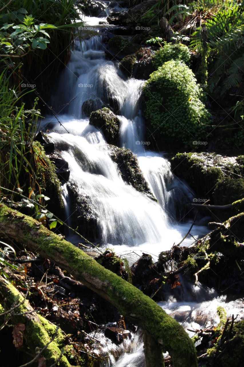 Washing the rocks