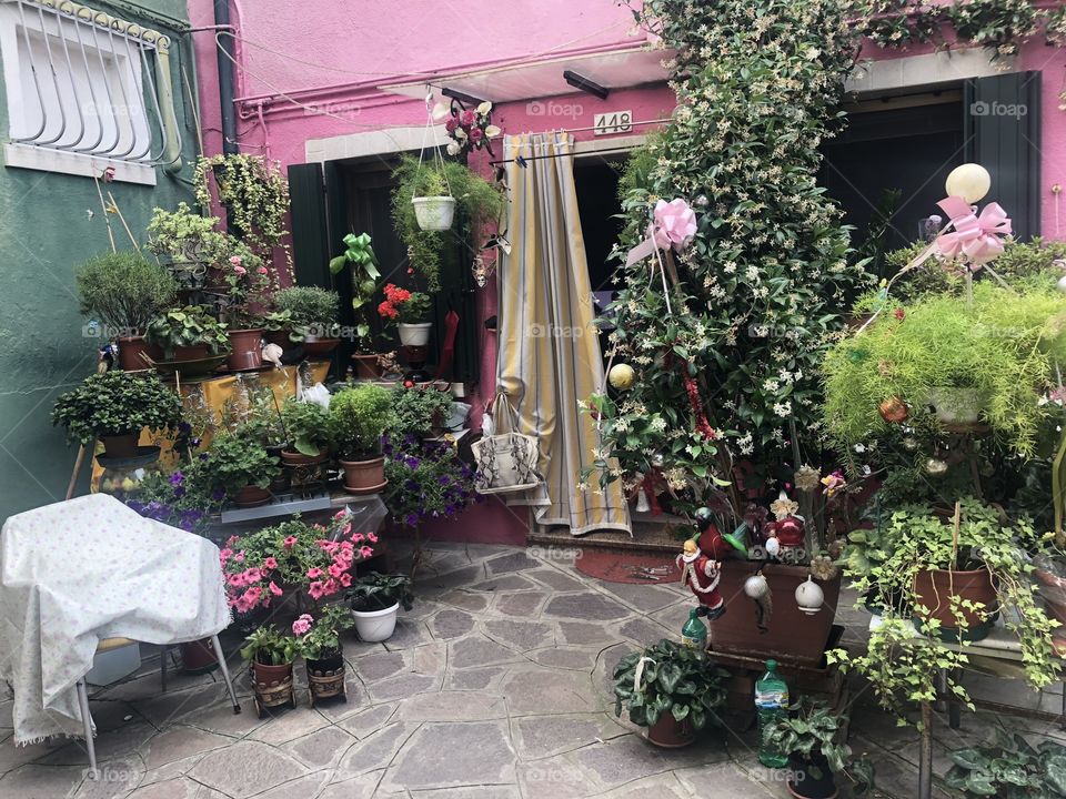 completely in love with the beautiful flowers that stand here, in an alley in Venice