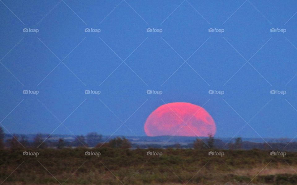 Harvest moon on the rise