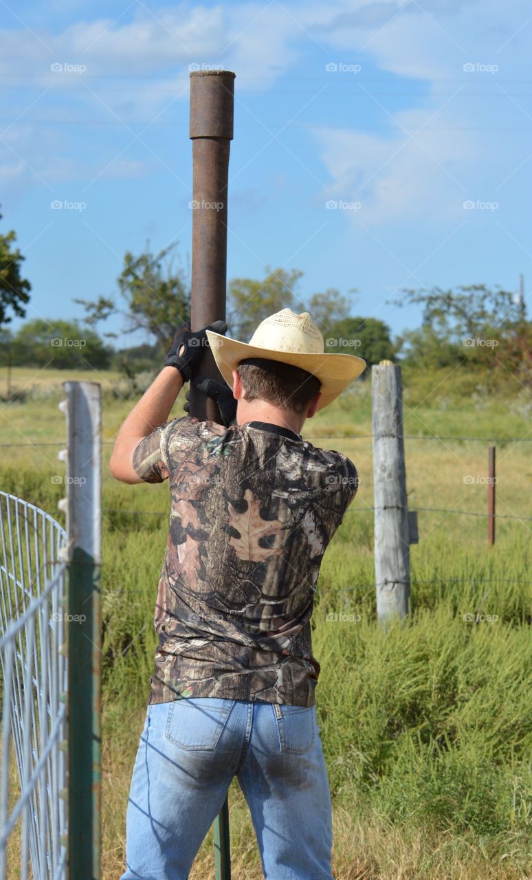 Young Texas cowboy building fence. Driving the t-post by hand. 
