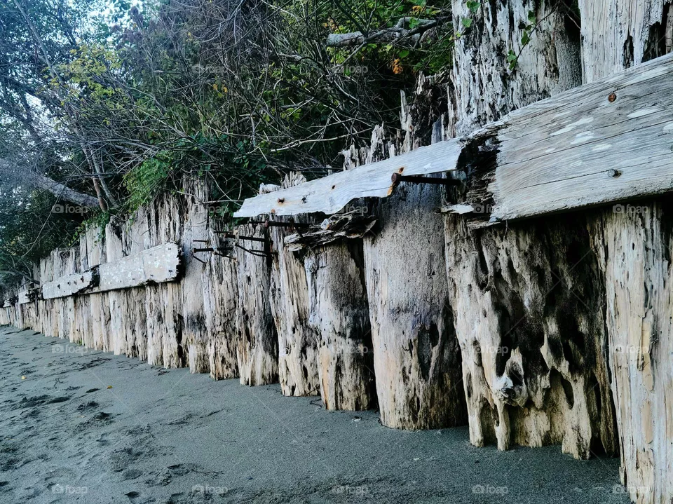 pilings