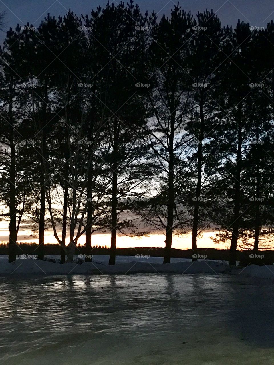 Sunset among the snow