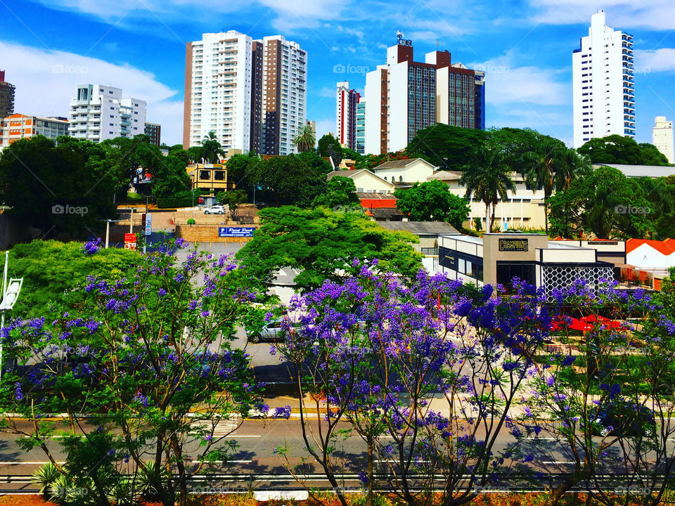 #Jundiaí e a Avenida Nove de Julho, num dia de muito calor. 
E essas #cores vibrante? 📸  #FOTOGRAFIAéNOSSOhobby
#sol #sun #sky #céu #natureza #horizonte #paisagem #inspiração #mobgrafia #XôStress