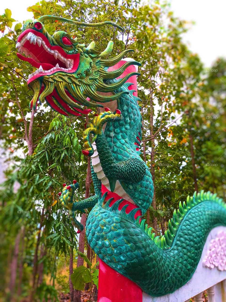 Dragon. Chinese New Year
