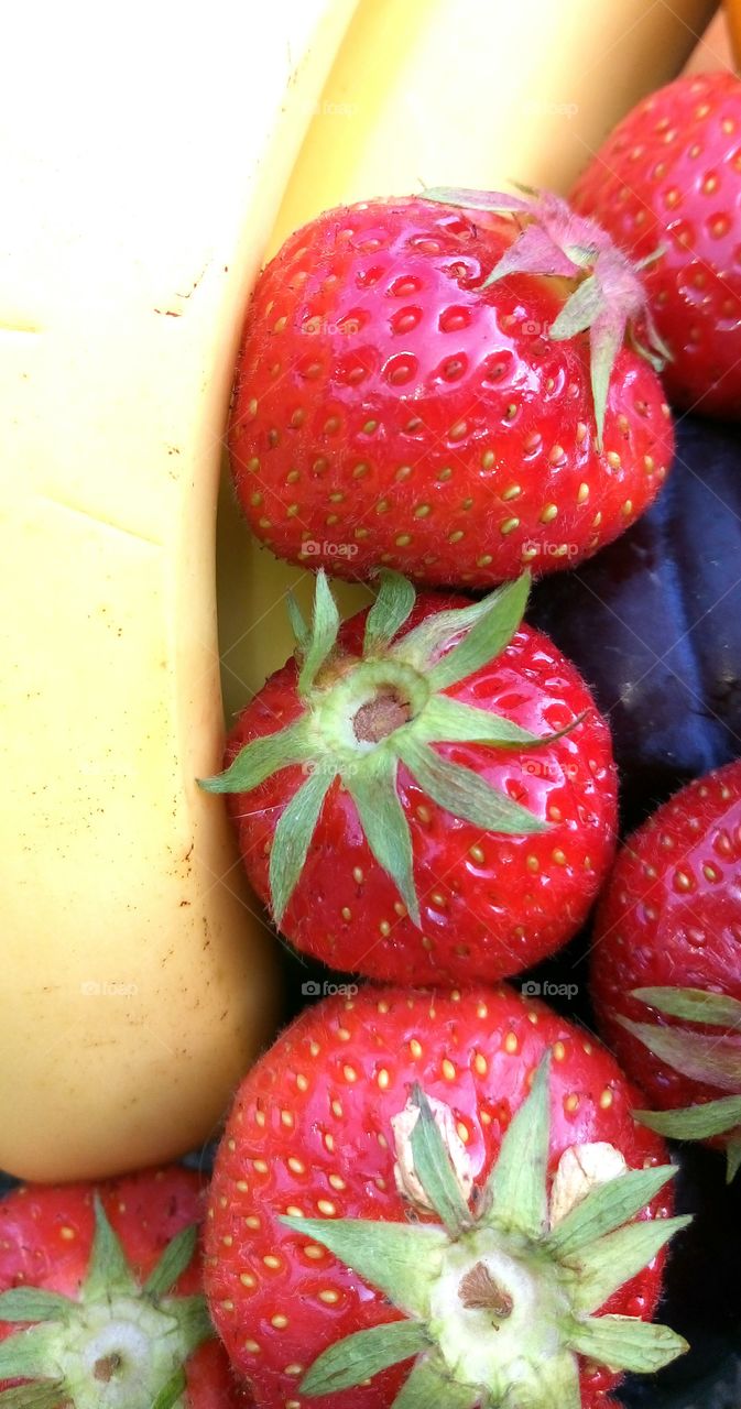 Erdbeeren und Ban
