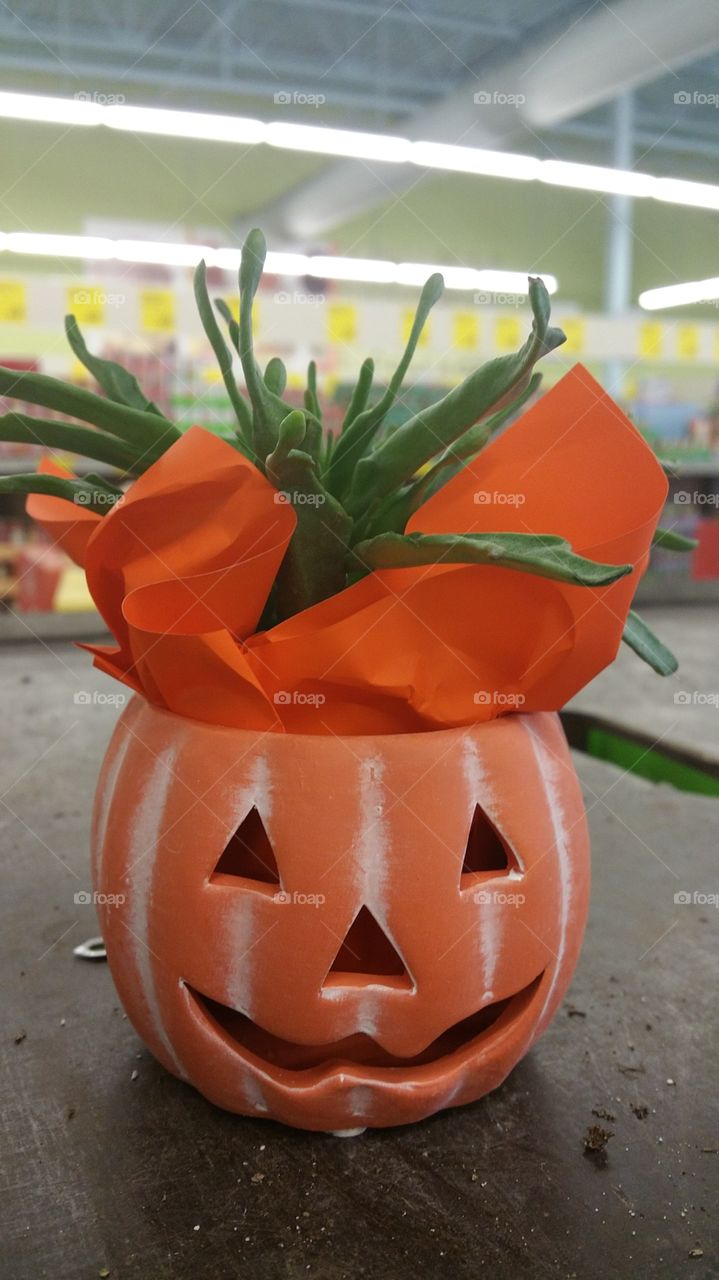 ceramic pumpkin. ceramic pumpkin